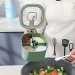 Airtight Multi Compartment Container (Random Color)